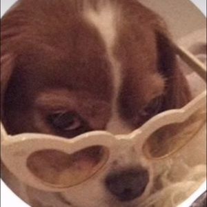 Meet your Posher, Tamia